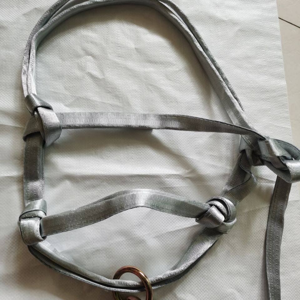 With a joint belt and a back pocket